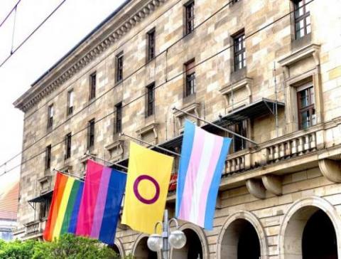 Mannheim flags