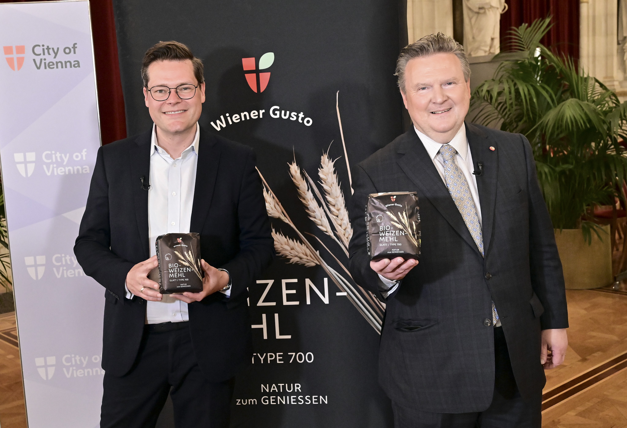 Vienna mayor