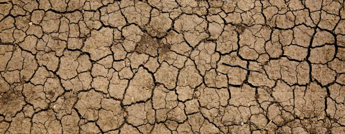 drought