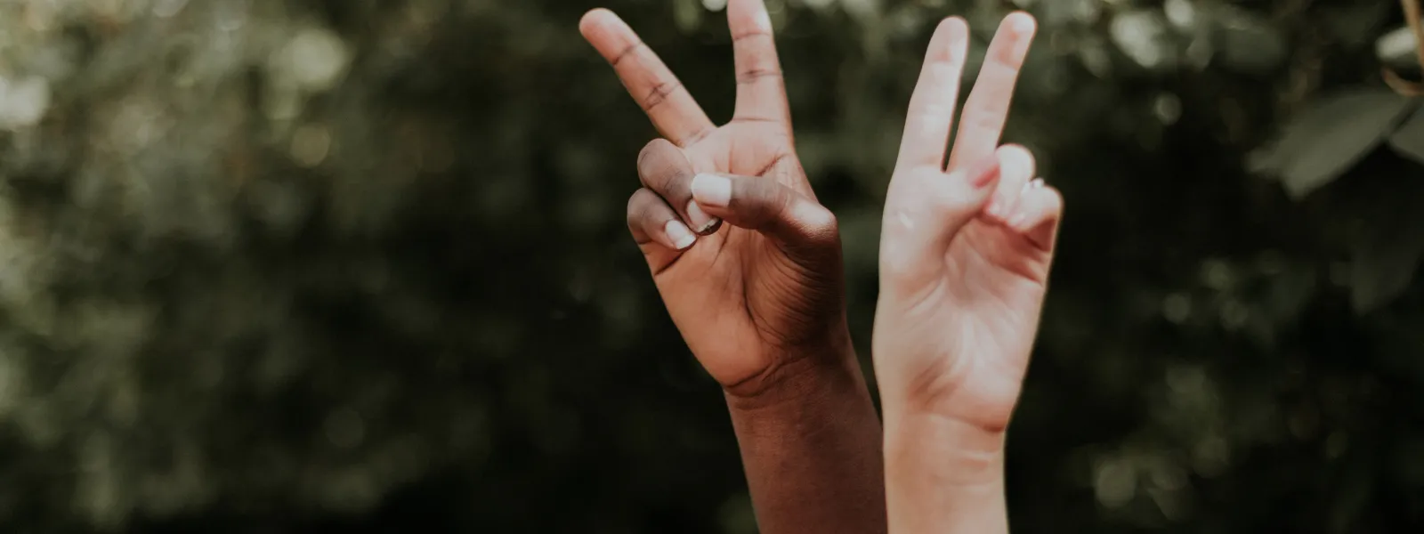 hands rising