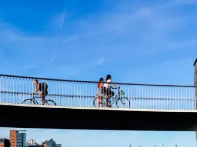 Bridge