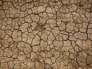 drought
