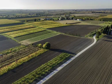 farm