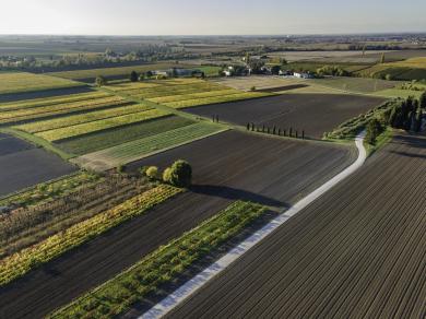 farm