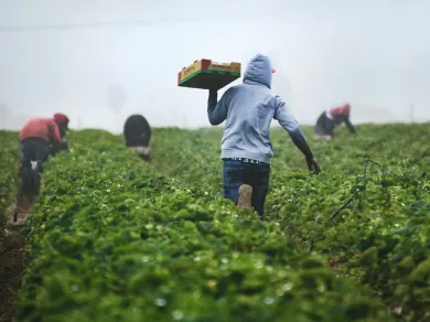 farmers