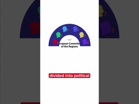 Who makes sure your city has a say in Brussels?